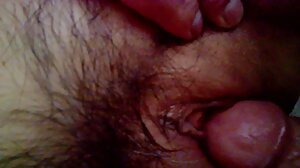 லெஸ்ஸி