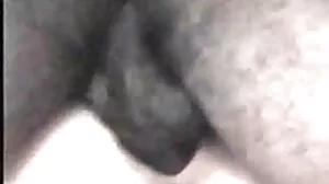 ஸ்டெப் சிஸ் பெல்கிஸ் டோஸ்கானோ அசோல் ஸ்டஃப்ட் பெறுகிறார்