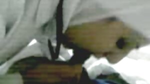 தொகுப்பு