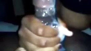 மகிழ்வளிக்கும் பழைய சாம்பல் புதர்