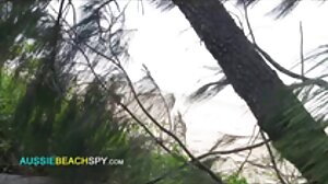 கண்கவரும்